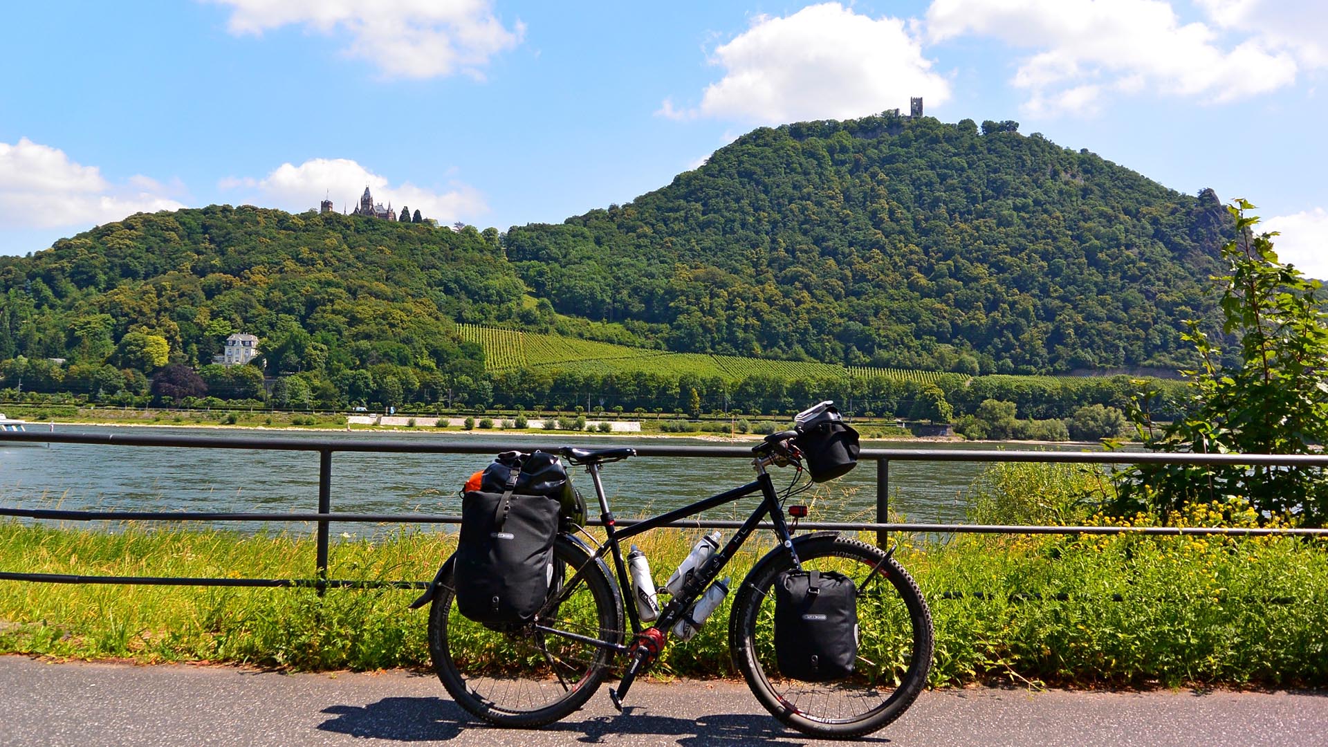 Rennstahl_Pinion_Bikes_853_Reynolds_P18_650B_2015_brakeforceone
