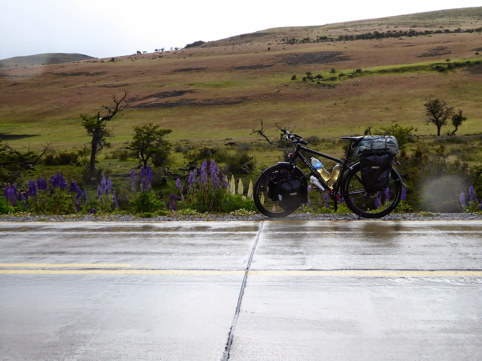Rennstahl_Stahl_Bikes_Pinion_853_Patagonien_2015_08